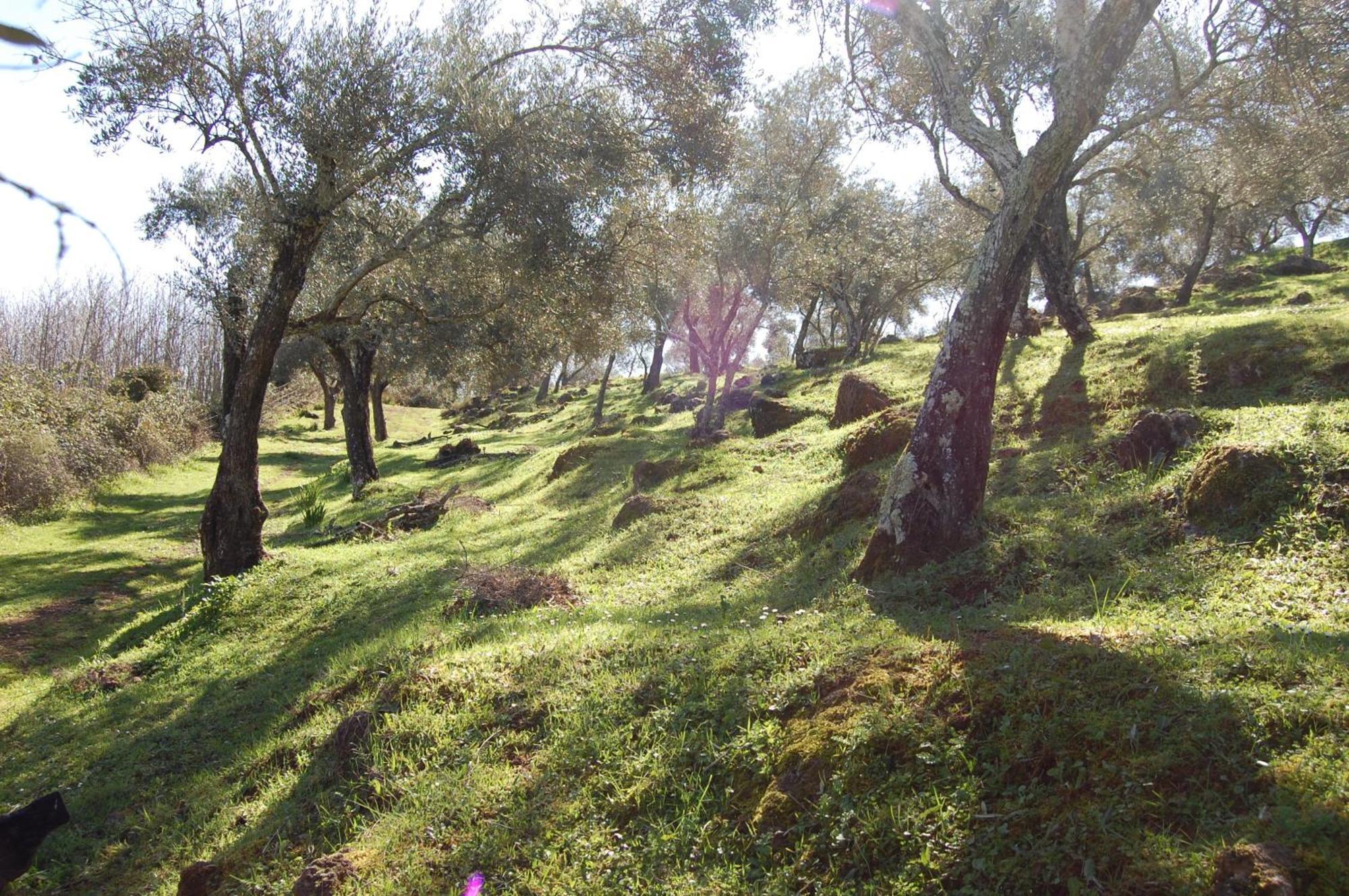 Los Pozos De La Nieve Constantina Kültér fotó