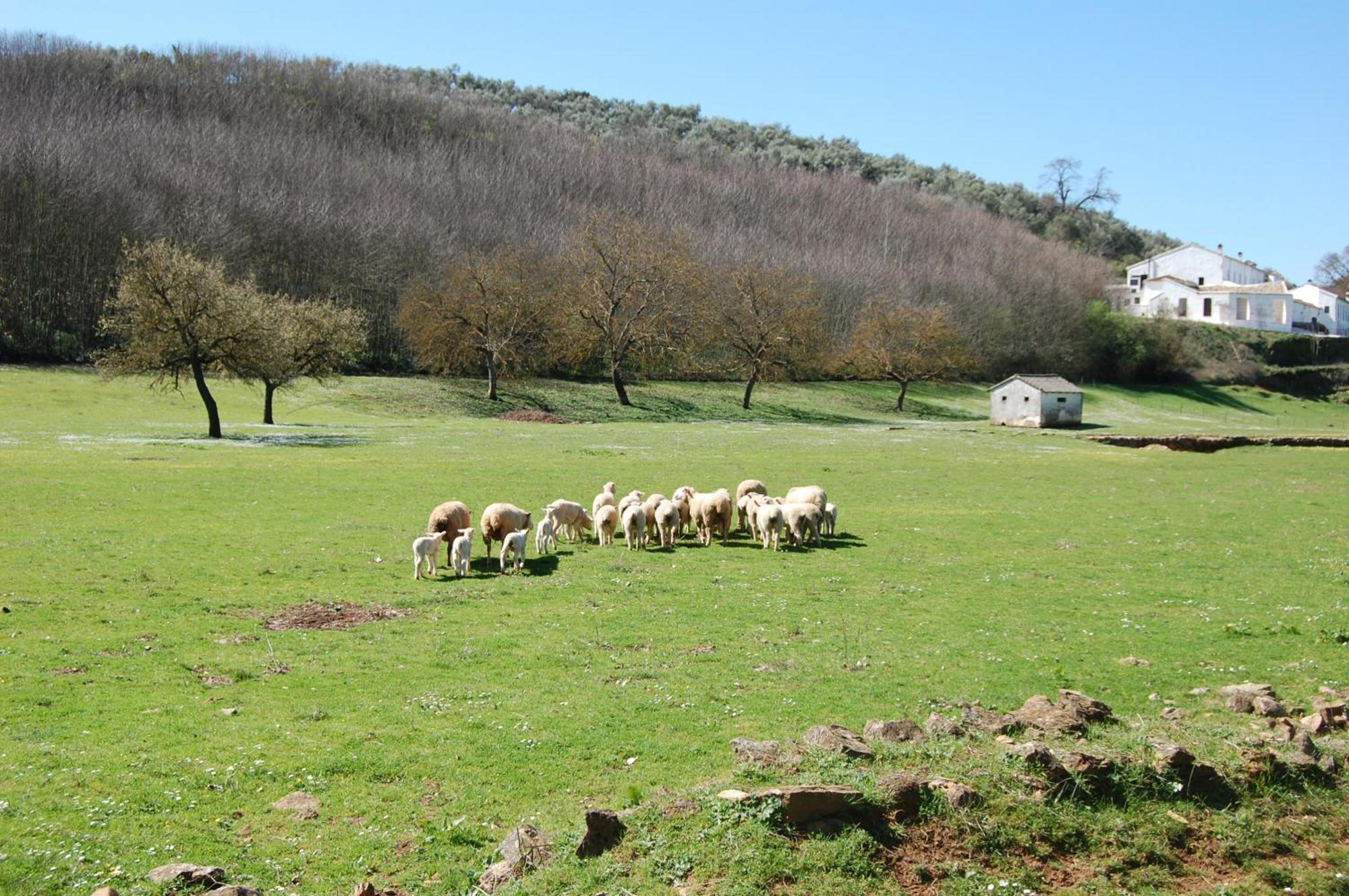 Los Pozos De La Nieve Constantina Kültér fotó